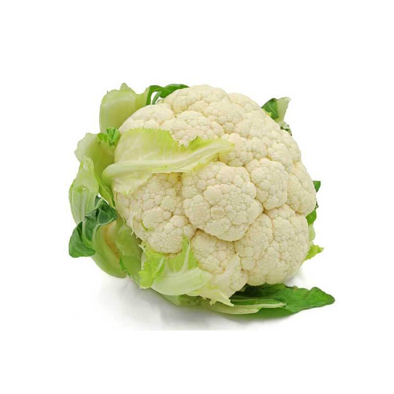 Choux fleur - fournicool